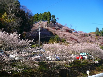c0035843_23342456.jpg