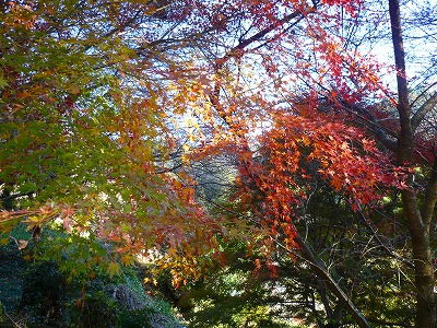 c0035843_23424776.jpg