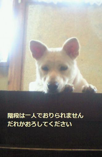 f0195543_15123959.jpg