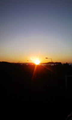 a0125846_2394570.jpg