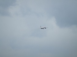 b0115346_163625.jpg