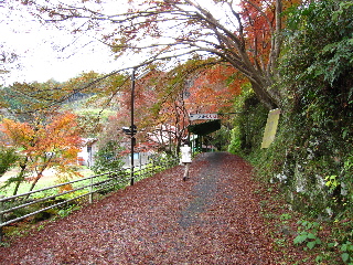 f0116546_016691.jpg
