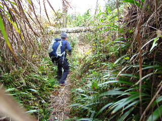 f0116546_0201137.jpg