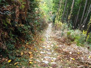 f0116546_0203044.jpg