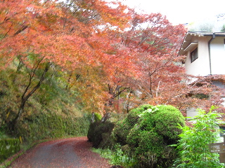 f0116546_0222625.jpg