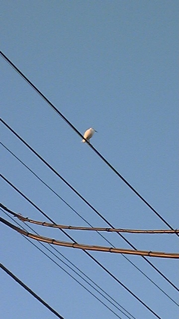 b0139547_17291177.jpg