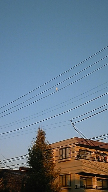 b0139547_17291187.jpg