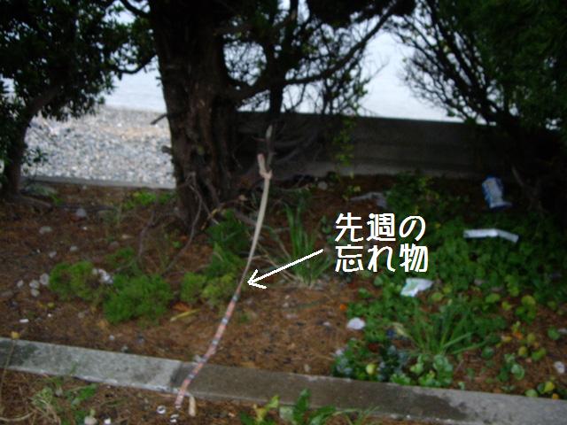 e0098547_321242.jpg