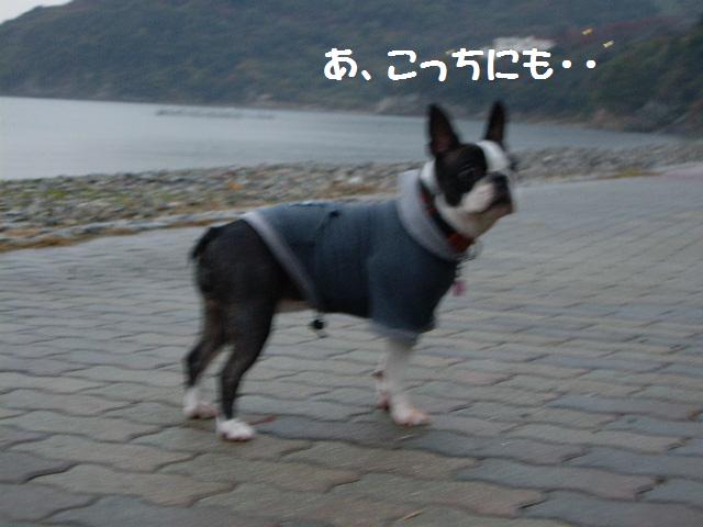 e0098547_3232725.jpg