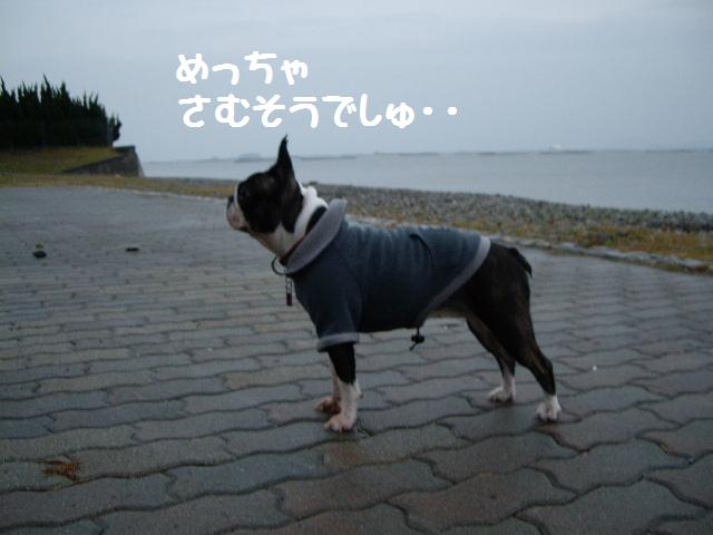 e0098547_3235112.jpg