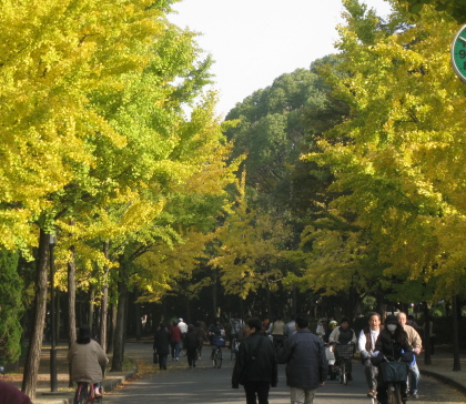 c0145449_18374319.jpg