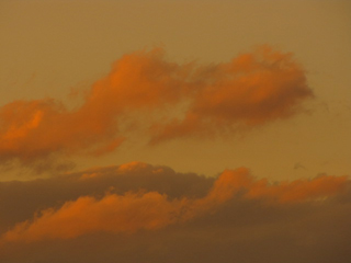 c0208349_150895.jpg