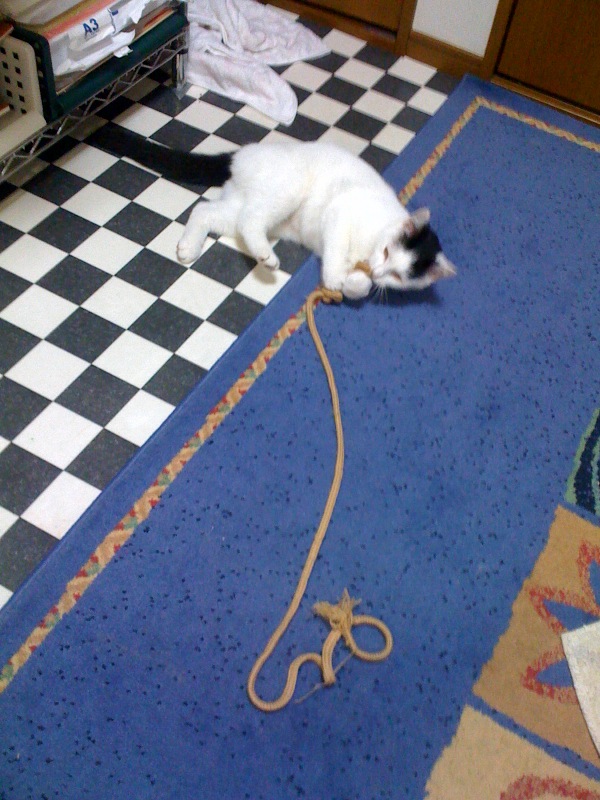 e0026053_091654.jpg