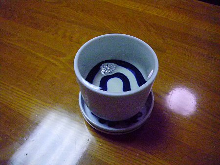 a0056654_1523254.jpg