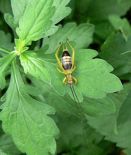 d0091754_23191799.jpg