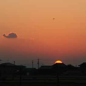 f0062055_17504084.jpg