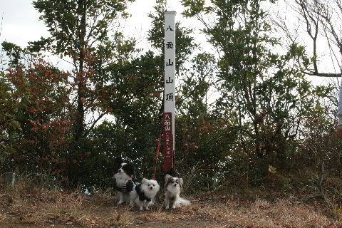 b0137459_0262425.jpg