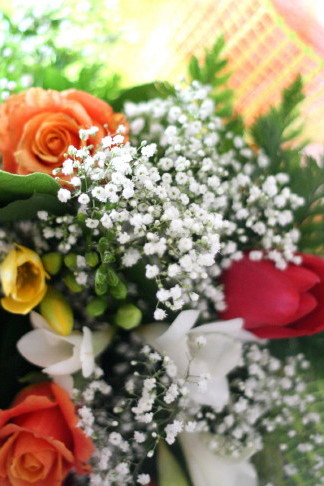 f0077159_102290.jpg