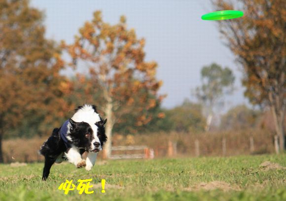 a0100564_2103127.jpg