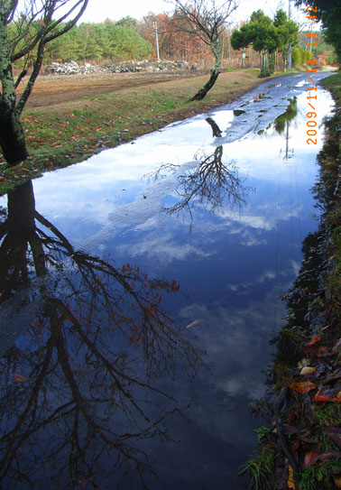 b0075364_16574670.jpg