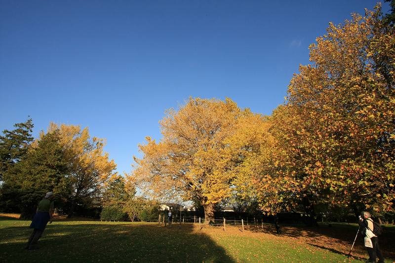 c0134569_17154074.jpg