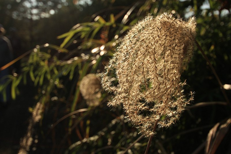 c0134569_17154910.jpg