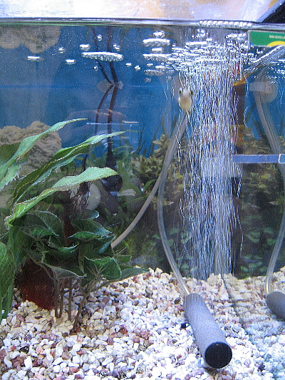 a0014770_21524154.jpg