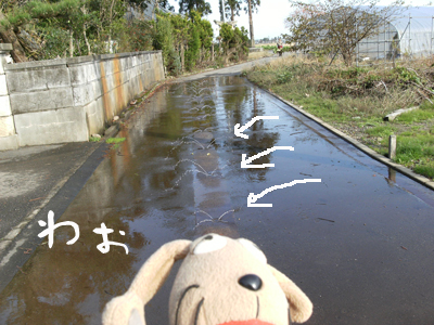 c0158573_22132771.jpg