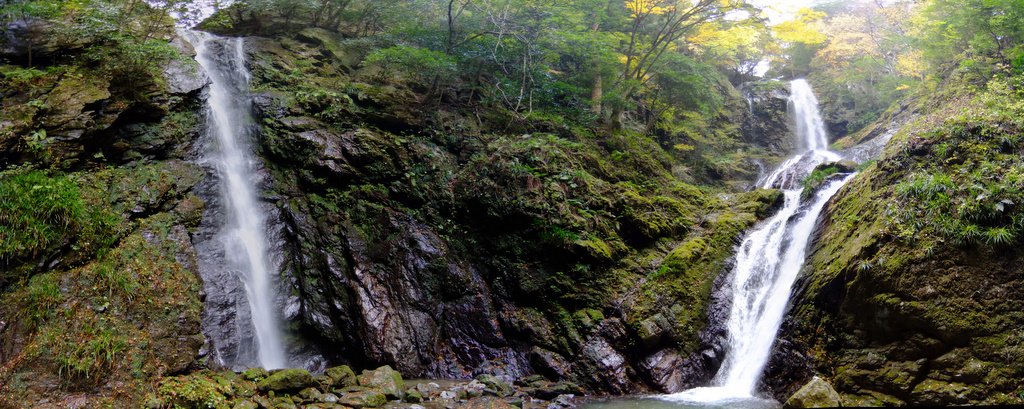f0054075_20284024.jpg