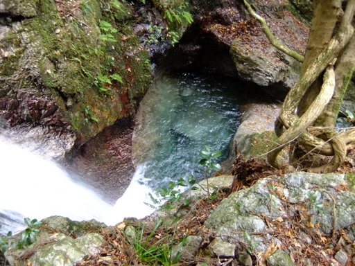 f0054075_20355285.jpg