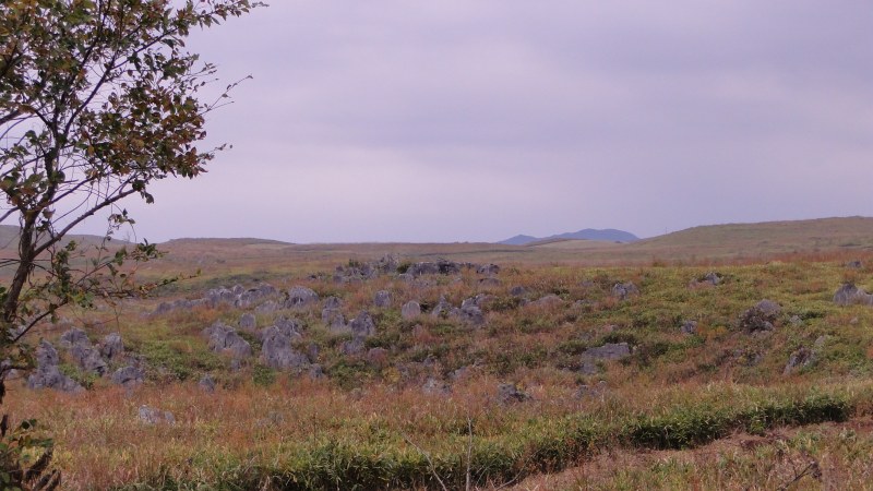 c0183777_18451466.jpg