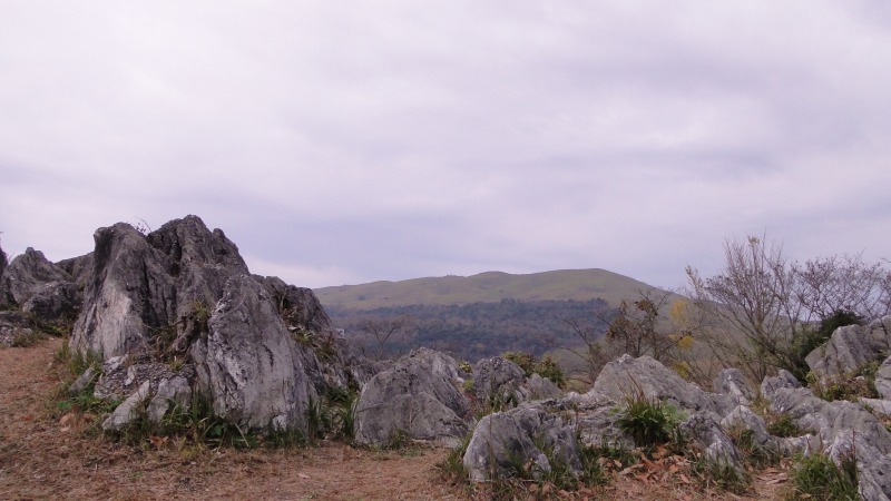 c0183777_1846831.jpg