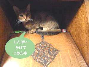 b0177078_9244642.jpg