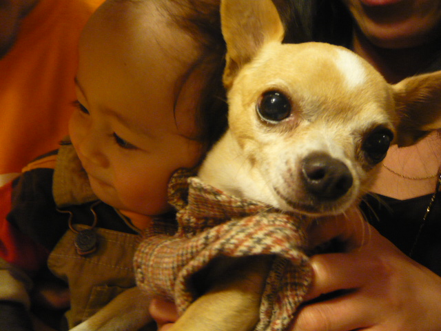 c0036981_21543889.jpg