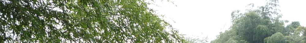 f0190781_1235267.jpg