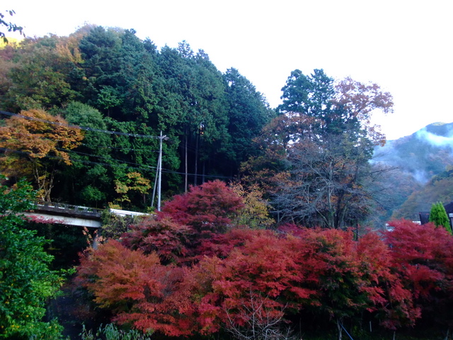 a0043982_2035062.jpg