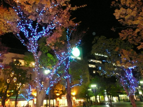 b0118987_8352348.jpg