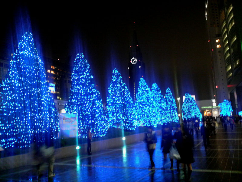 a0049090_2504621.jpg