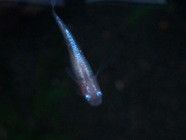 e0192991_2326227.jpg