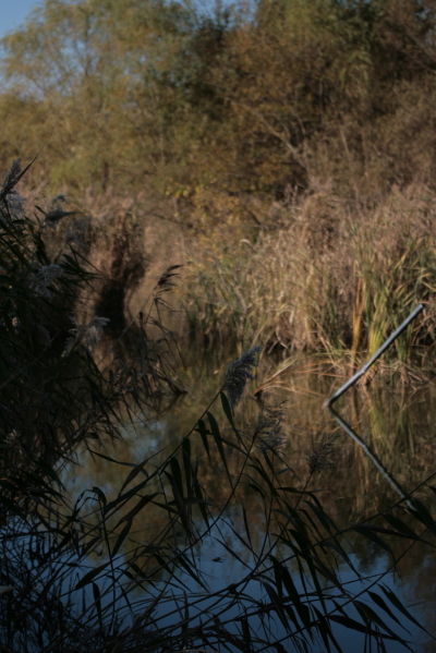 d0133693_2355760.jpg