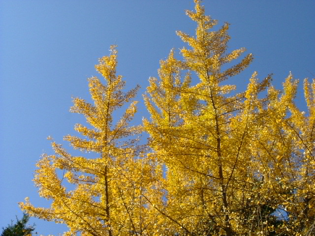 b0044296_21435947.jpg