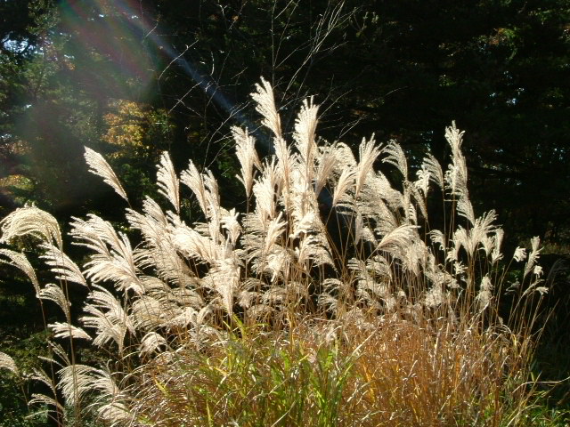 b0044296_2146232.jpg
