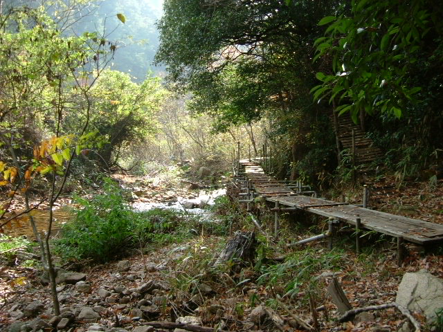 b0044296_2212088.jpg
