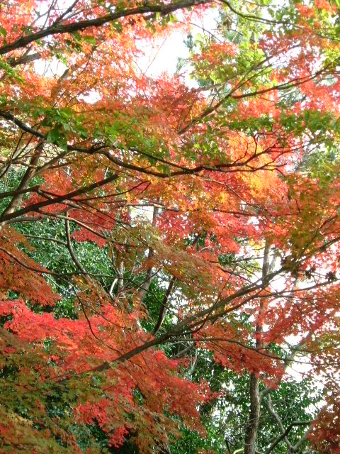 b0044296_22135794.jpg