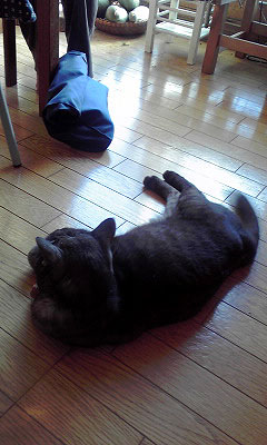 c0206596_2326668.jpg