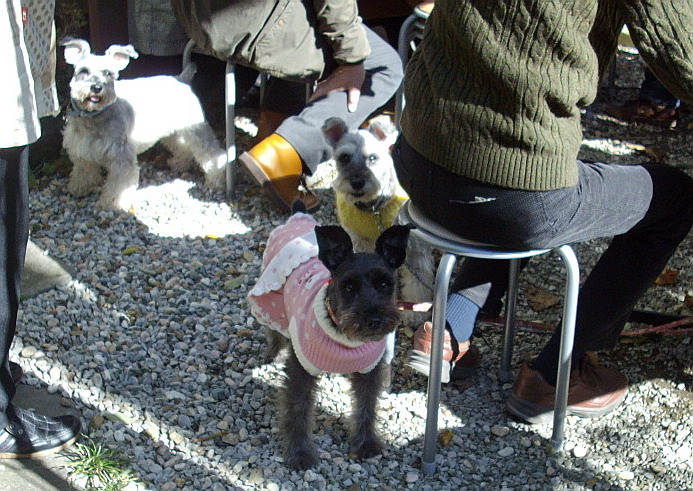 c0138198_1554694.jpg