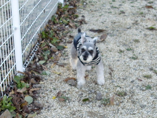 c0138198_1634175.jpg