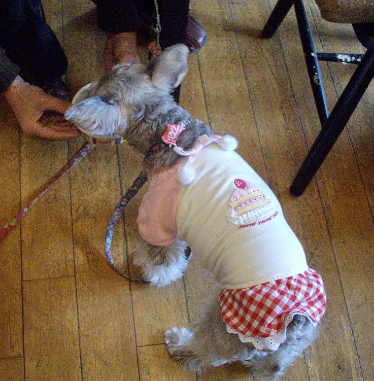 c0138198_16442545.jpg