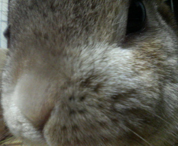 c0090899_074178.jpg