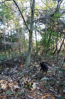 e0137200_23254943.jpg